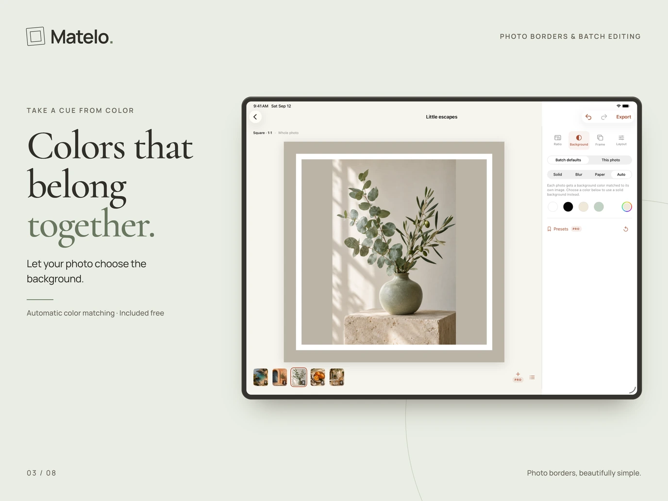Matelo on iPad: Automatic background colour matching, selected in the photo editor.